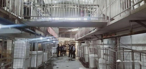 绿色包装与节能保温材料项目成功签约，金属装饰材料零售市场迎新机